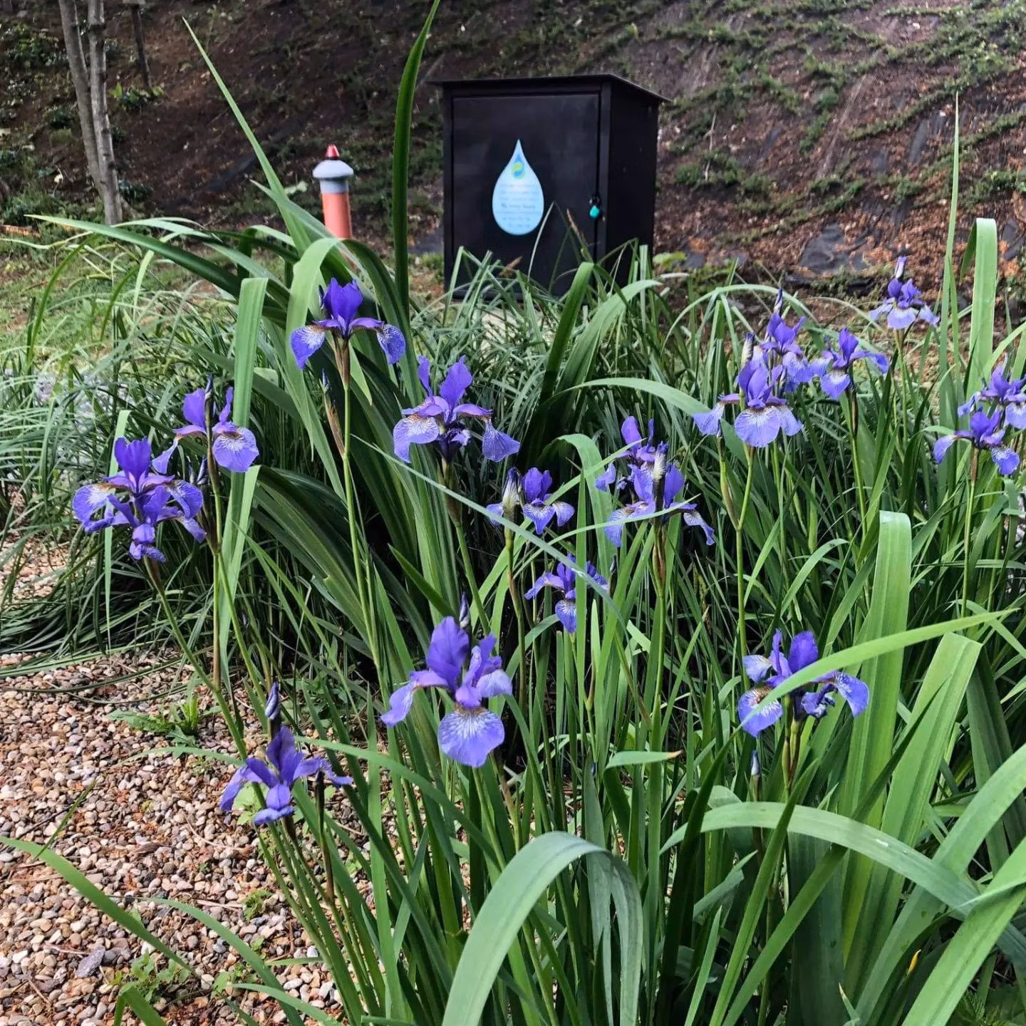 ECOVER pre rodinný dom-úplne bez elektriky, starostí a súčiastok.