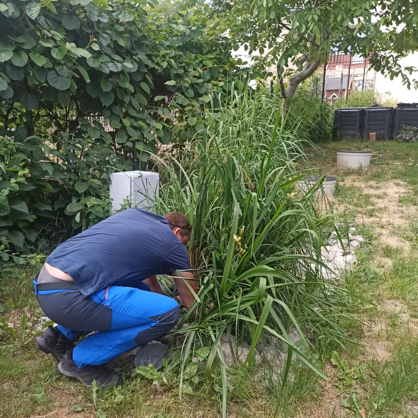 ECOKOCKA modulárna koreňová ČOV,len 3m2.