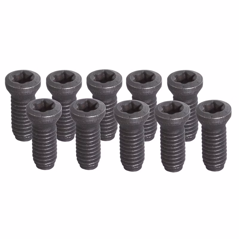 Sada 10 upínacích skrutiek doštičiek M4,5 × 10 mm, Torx TX15