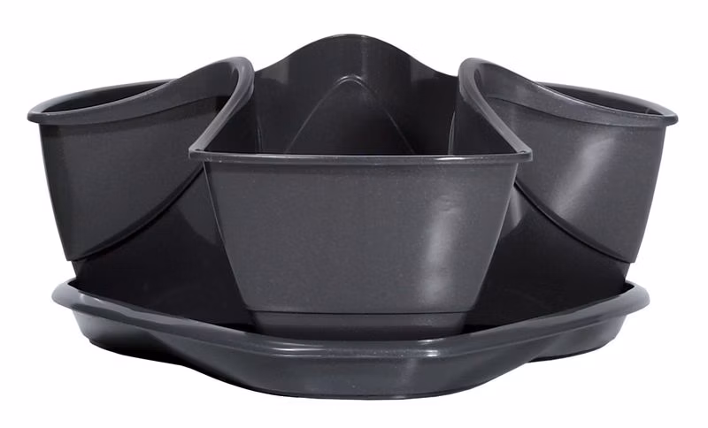 517c16f31ac73863005145d83e2fc7ee