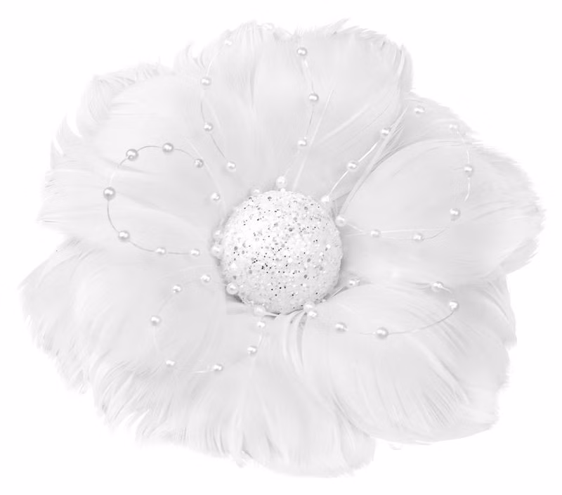 5a83215fbc0fc060c7c009aa9977a79b