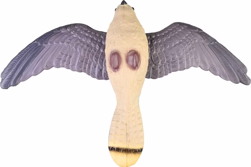 623c70a7188c065df5b2d8e653106064