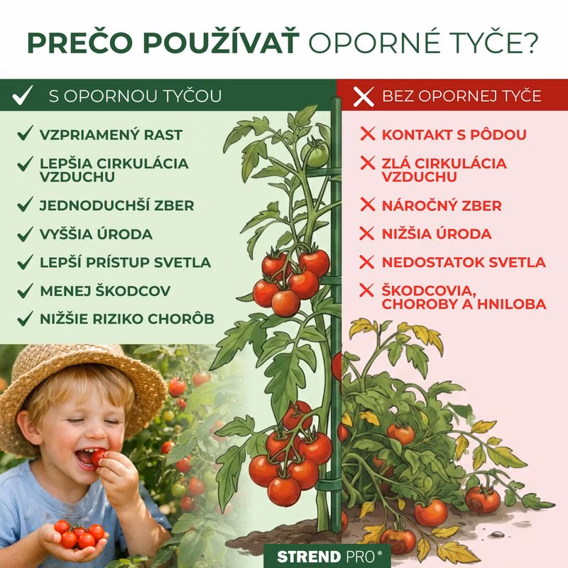 7746d4cf09a7da8339e315f219c8060b