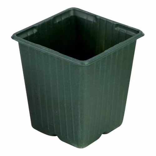 78d6b4feb5124eb91d93410d9d8ae325