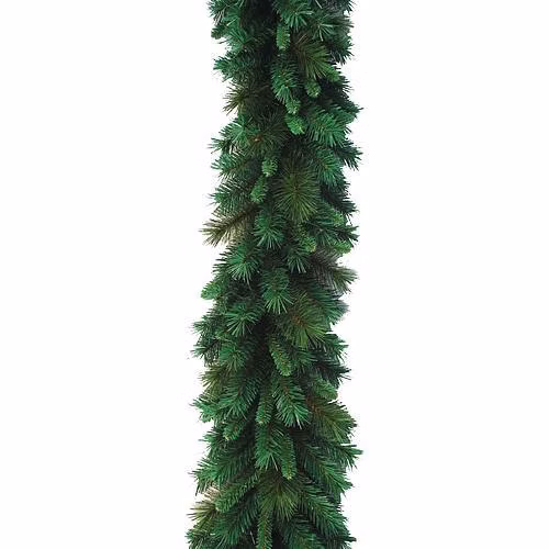 a98eca52edbdfff51f15d55595d385c4