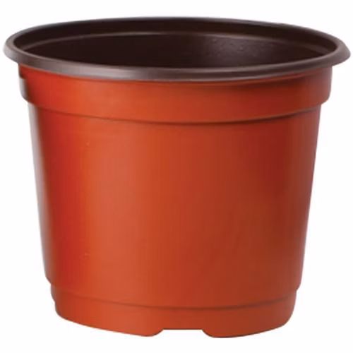 aa42cef06734a3b1de8df985d11815ef