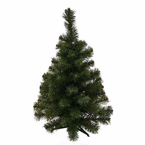 cd85b89a9cadd83a434707be64463424