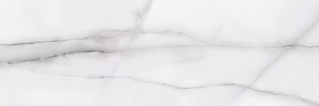 0c92deec850694c256a8f72c5f18368f.nwb003.155413391606771