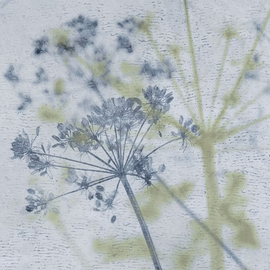 3c8df5fe815a45baf40f526080116ec0.heb005.196649372618833