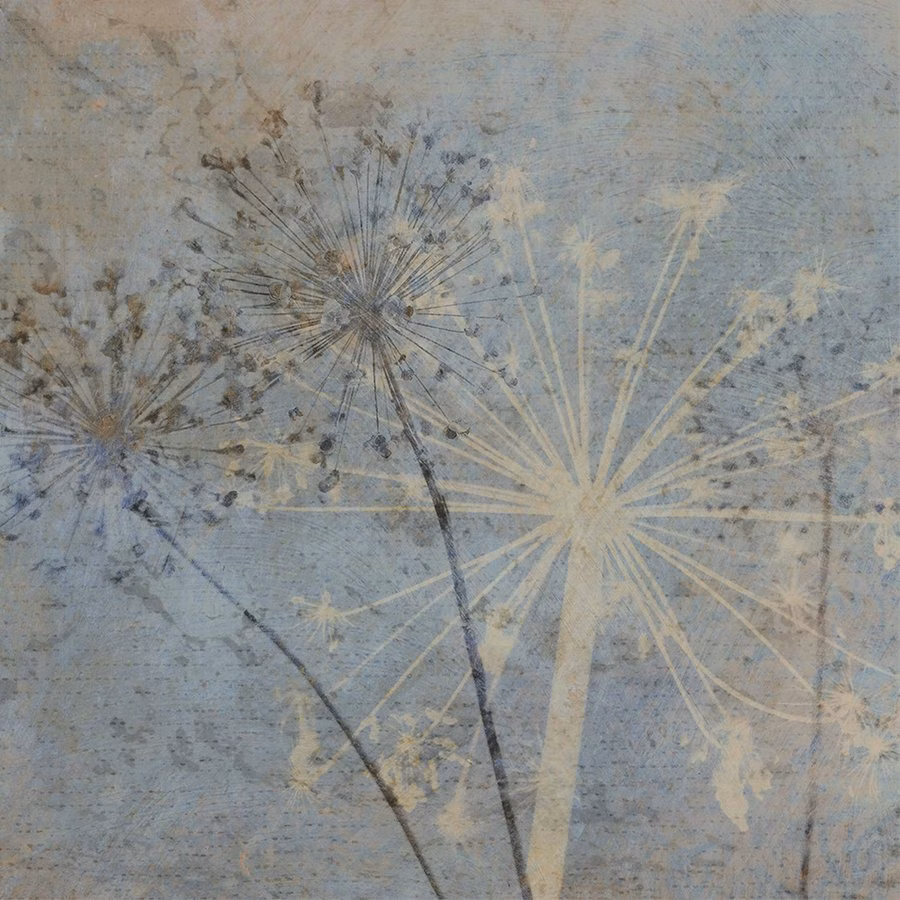 4f331d051593bbaaf4d76c64d4b34709.heb004.196649372618829