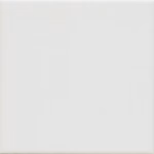 4fa6ce9d1e3188cb0c0acdc21dafaa81.661.137417478650098