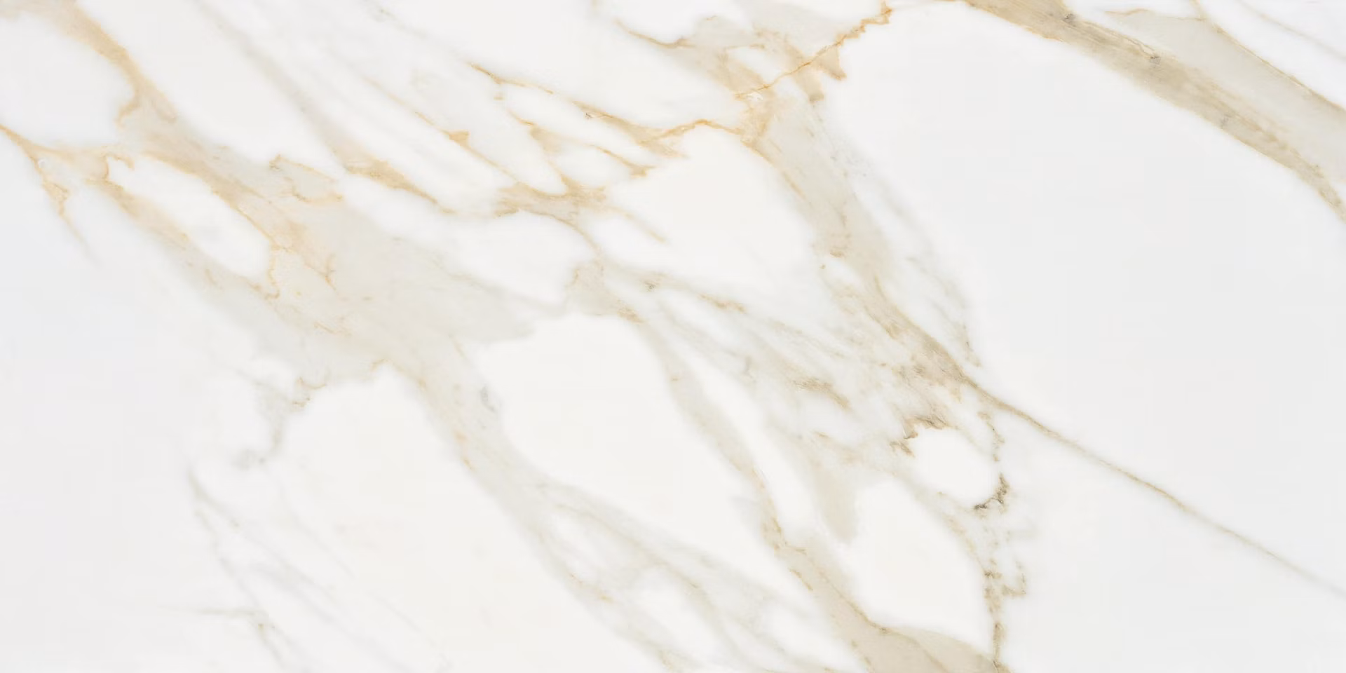 500284fb3a166c09bcea8b8957917f52