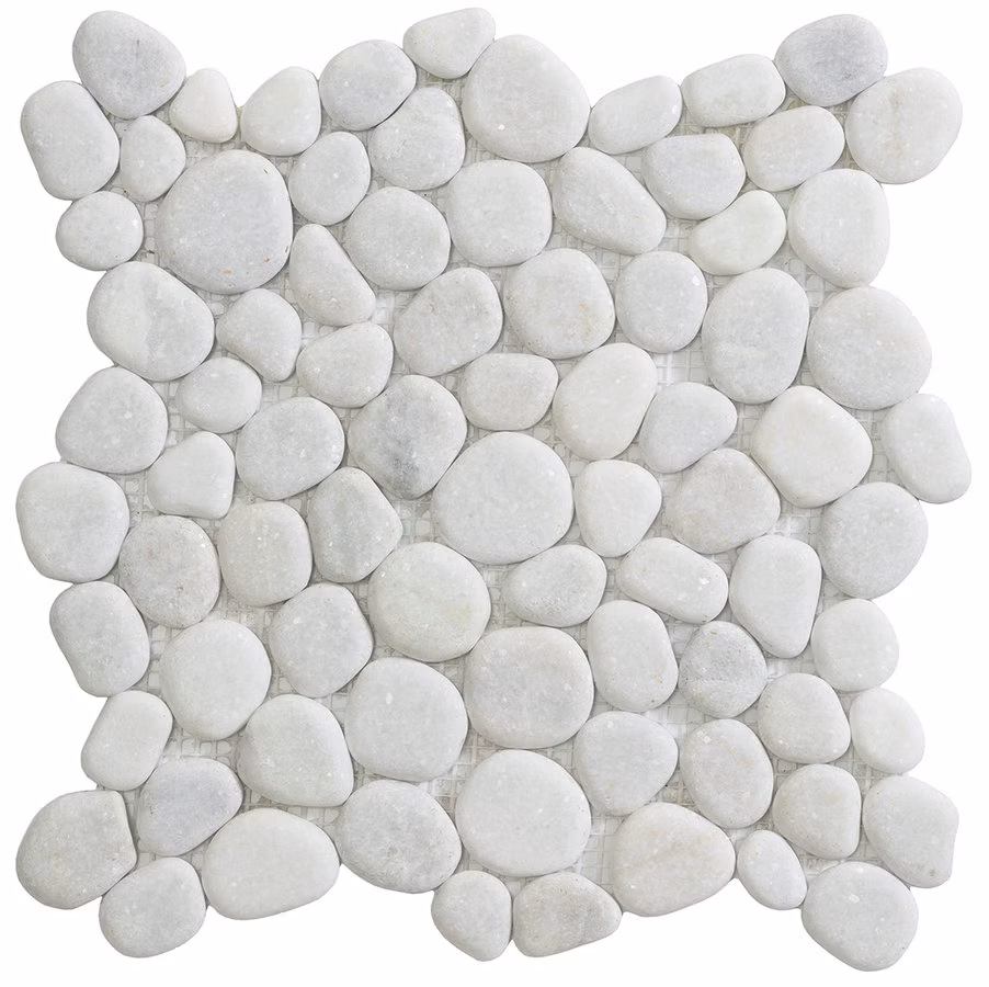 51241a100742410a99d07c7bbd1405a1.int080.177120156327649