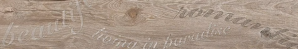 60ce8d8b7bdc773019c9abef0b2cbf2b.van007.137417478695009