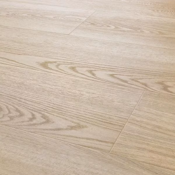 02 2542200020244 0.jpg size banner large v 2