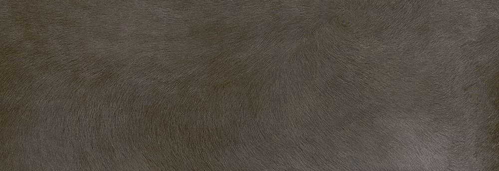 a4e7fb69dcf8998d20620a4a0eadea08.zoo003.137417478689113