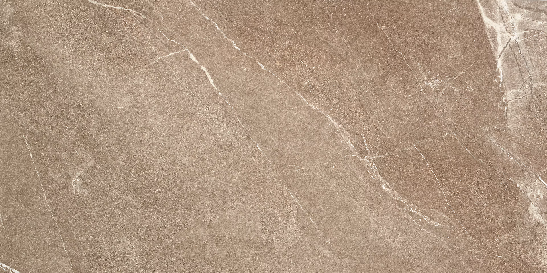 c7353252e83d3cd8c81954c27340f7ab