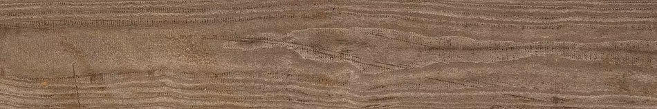 f74d4ba559606f946018fc946e04df38.van004.137417478694245