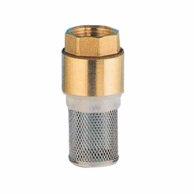 Sací kôš so spätnou klapkou a nerezovým sitkom 5/4"