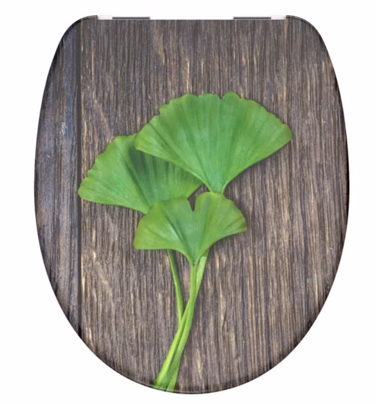 Schütte GINGKOundWOOD | Duroplast, Soft Close