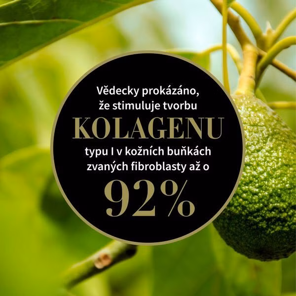 bc55db68347c7d575932e4faaf14e264