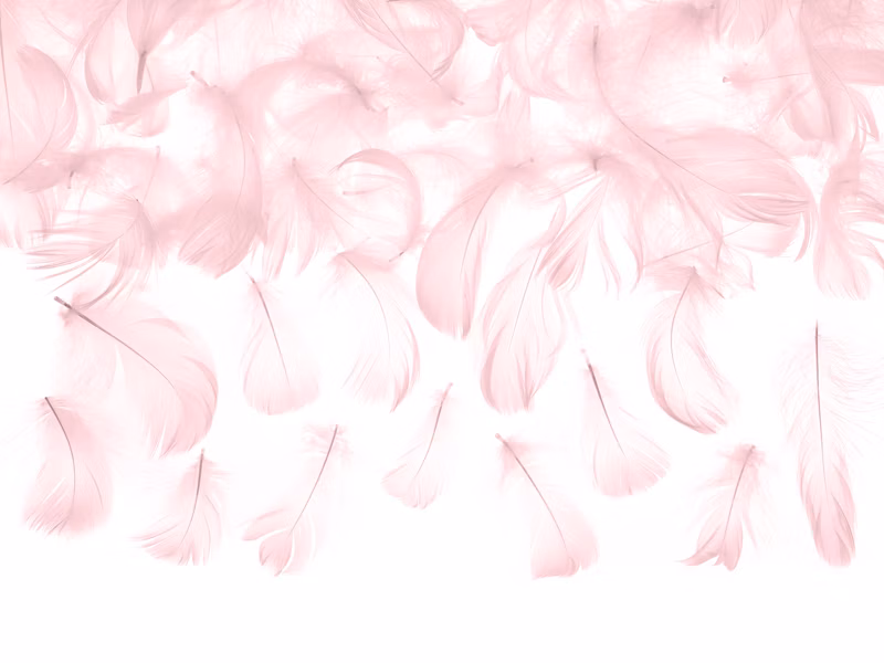 53658935ef4c8202e644873bc13a2204