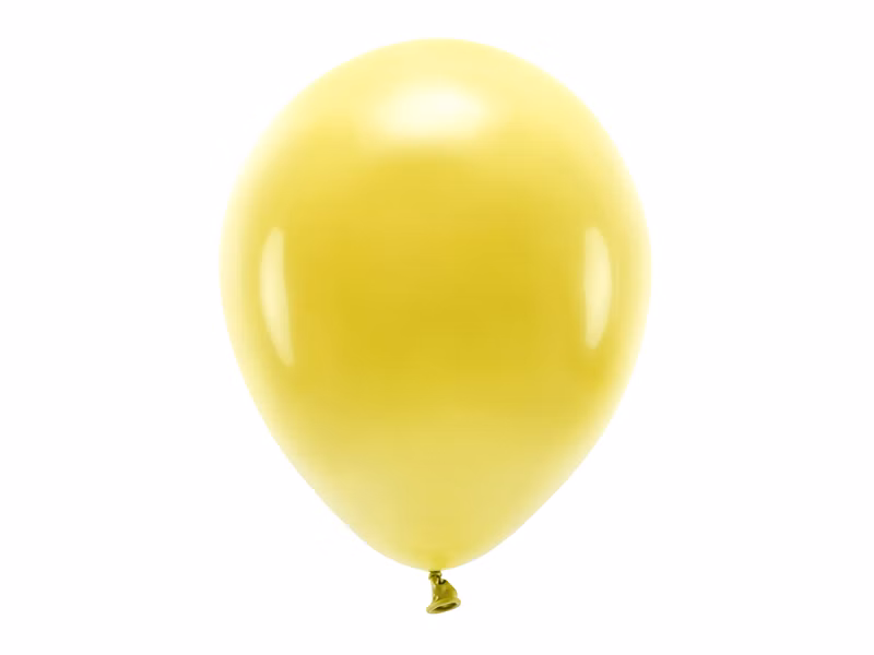 ee6af47ff203378762a905c49dd813a3