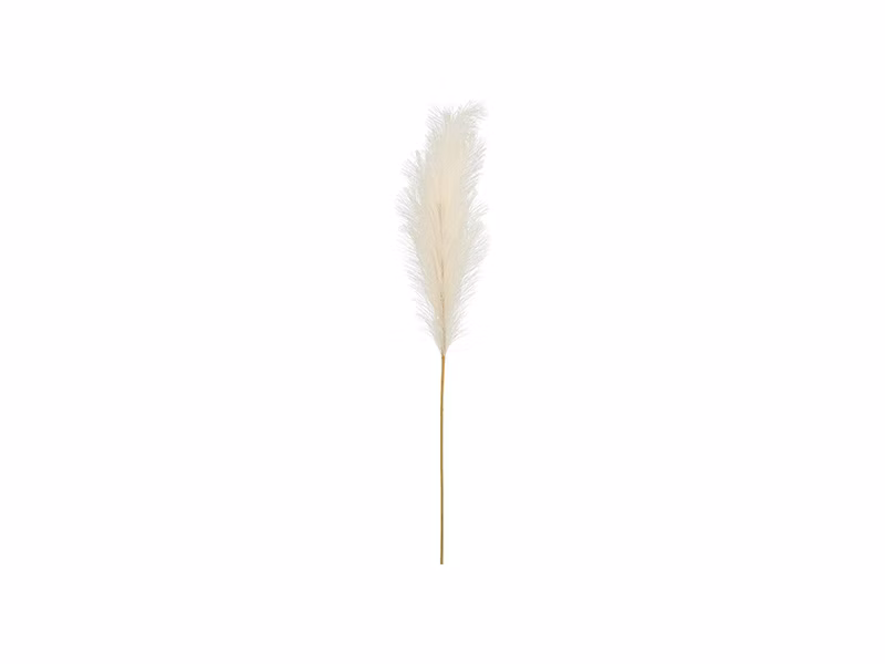 fe86456069a70f702ef3624e7491a053