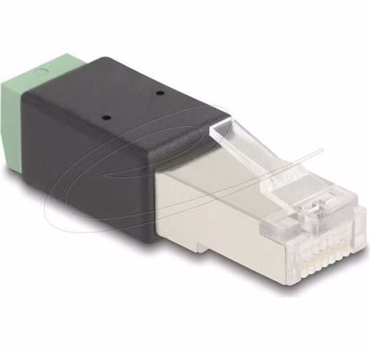 Delock Adaptér ze zástrčky rozhraní RJ45 na svorkovnici, 2 pinový