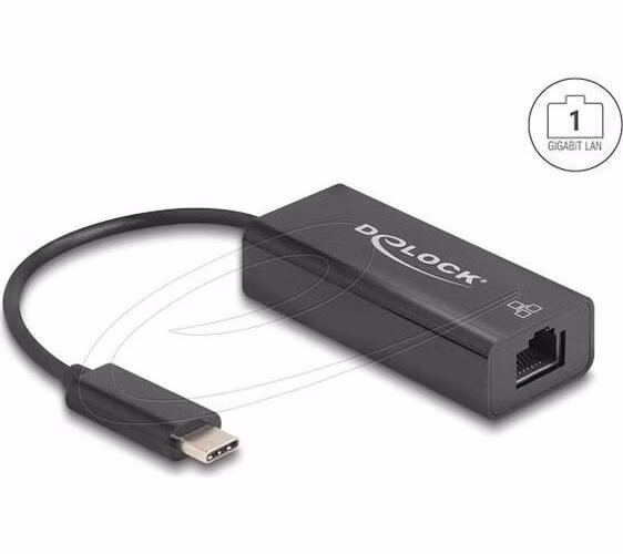 Delock USB 2.0 Type-C Síťový adaptér 10/100 Mbps LAN 1 x RJ45