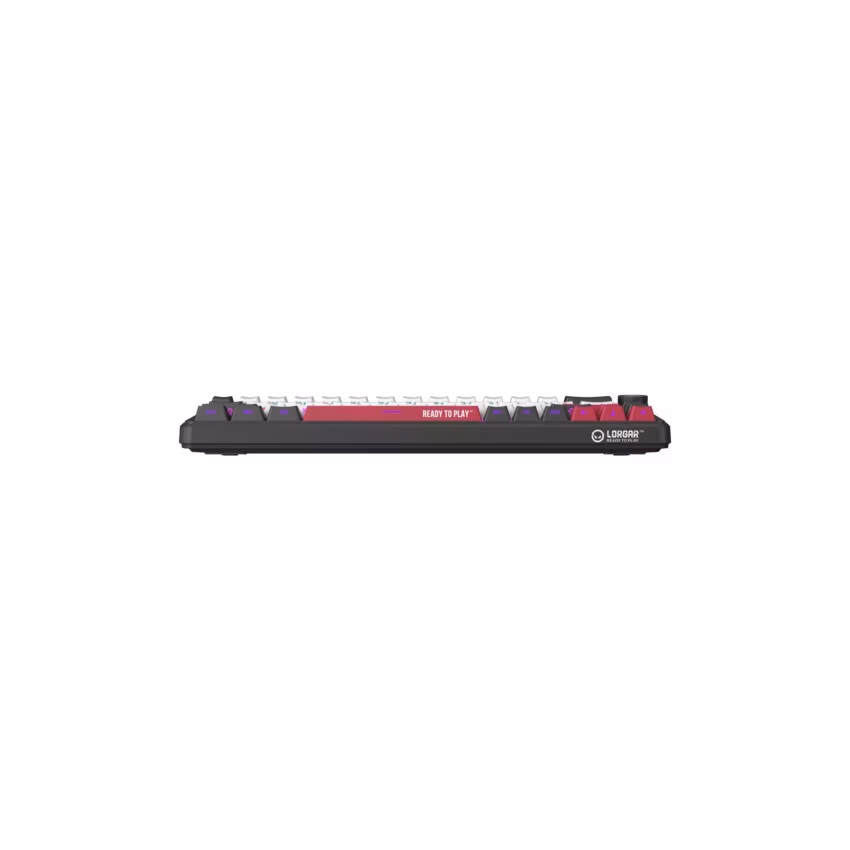 Lorgar KBA41MBK, mechanická herná klávesnica, 66 klávesov, Toxic Purple Switch, Hot-Swap, RGB, USB-C