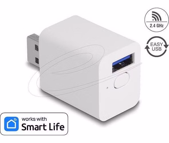Delock WLAN EASY-USB Switch Smart Life