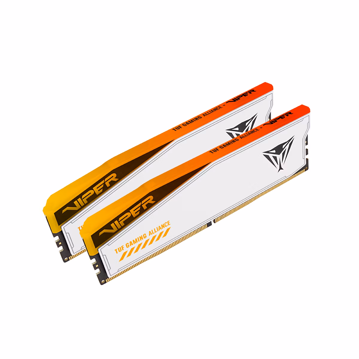 PATRIOT VIPER ELITE 5 TUF GAMING RGB HS 32GB DDR5 6000MT/s / DIMM / CL36 / 1,35V / Kit 2x 16GB
