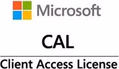 Fujitsu Win Server CAL 2025 (50 User)