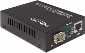 Delock Media Konvertor 1000Base-T to SFP
