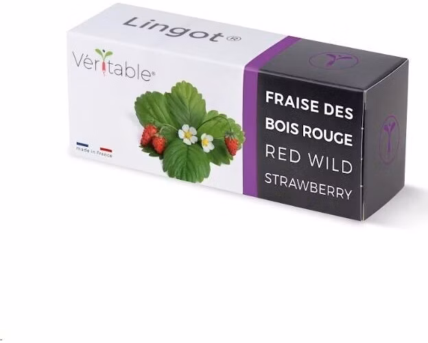 Véritable Lingot Divoké červené jahody