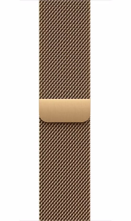 Watch Acc/40/Radiant Gold Milanese Loop