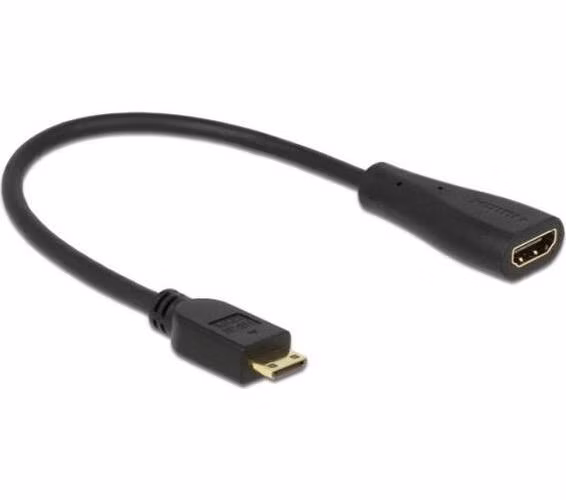 Delock Cable High Speed HDMI with Ethernet - mini C male > A female