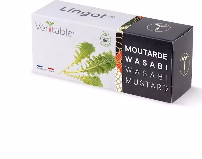 Véritable Lingot Wasabi hořčice listová - BIO