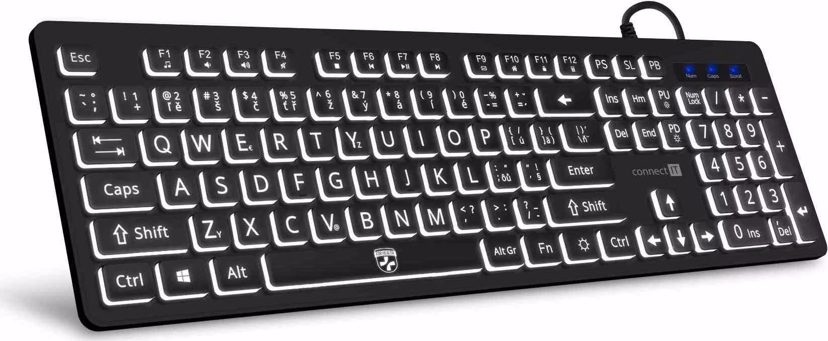 CONNECT IT Klávesnice FOR HEALTH LargeFont ergonomická klávesnice s velkým fontem, drátová, membránová, CZ + SK, černá