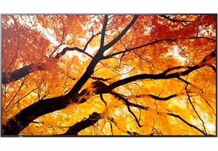 Sharp 86" MultiSync M862- 24/7, 550 cd, IPS LED, 3840x2160, 16:9, 8ms, 8000:1, DP, 2x HDMI, USB