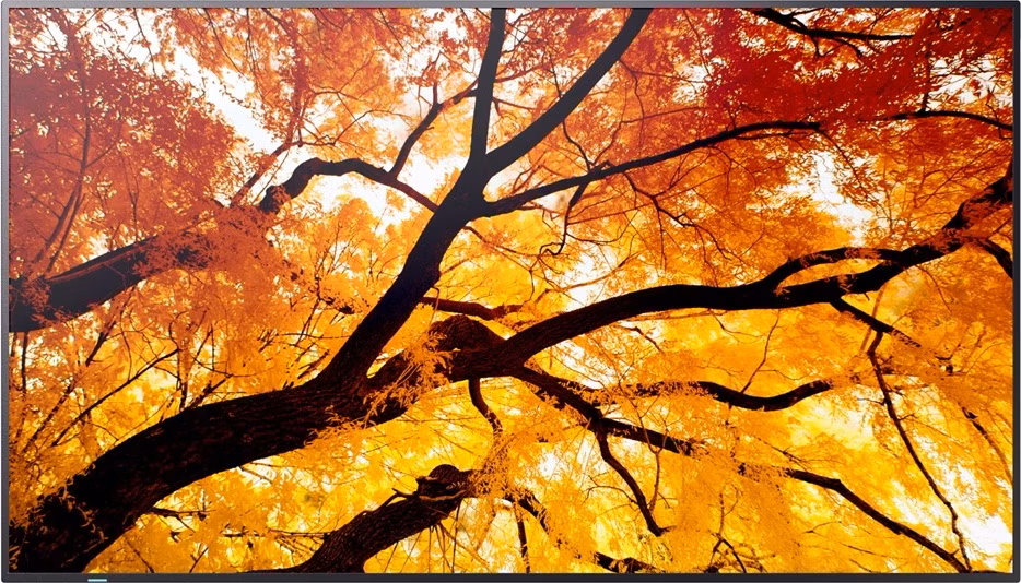 75" LED SHARP M752,3840x2160,IPS,24/7,500cd