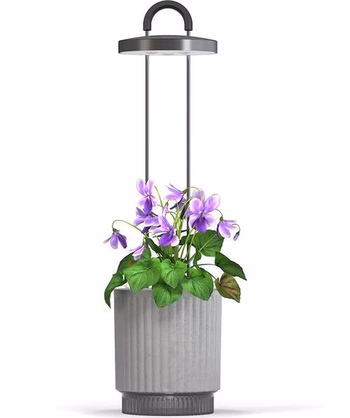 Smart Garden 1 Hydrovase, šedá