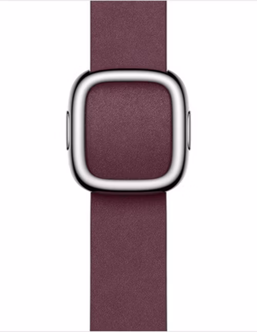 Watch Acc/41/Mulberry Mod.Buckle - Large
