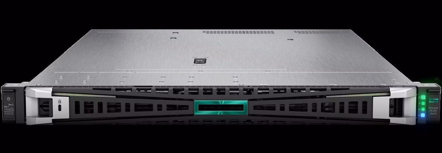 HPE PL DL325g11 AMD Epyc 9355P (3.6/32C) 2x32G (P64985) 2x1000W MR408i-o/4G 8SFF 4p1Gocp 7PF Smart Choice