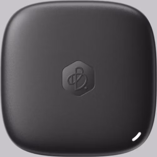 Synology™ BeeDrive BDS70-1T 1TB