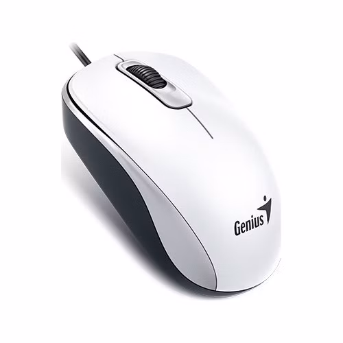 GENIUS DX-110/Kancelářská/Optická/1 000 DPI/Drátová USB/Bílá