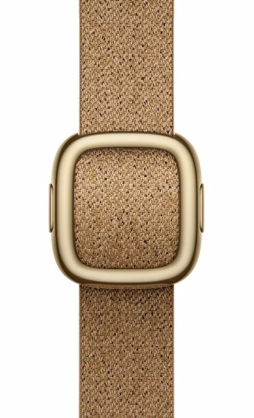 Watch Acc/42/Camel Modern Buckle- M