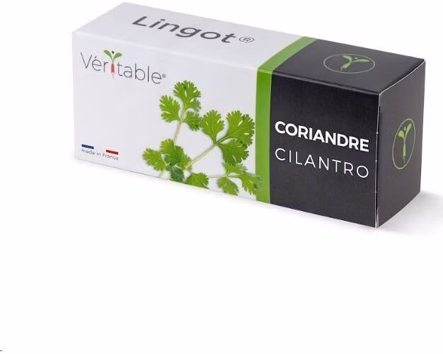 Véritable Lingot Koriandr