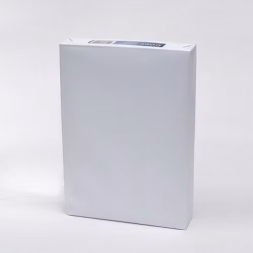 Papier Symbio Copy 80g, A4 5x 500 listov (kartón)